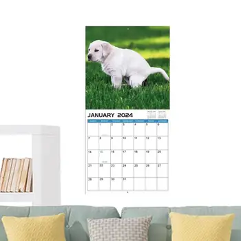 Кучета Акане В Красиви Места Куче Природата Призовава Месечен календар януари 2024 г. до декември 2024 г. Смешни куче календар Gag подаръци